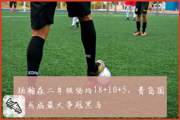 杨瀚森二年级场均18+10+5，青岛国信或成最大争冠黑马